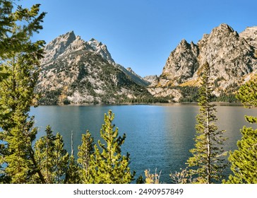 午夜影院免费版