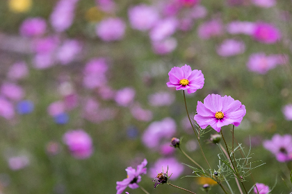 午夜未来影院在线观看